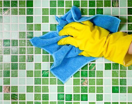 green cleaning in springfield